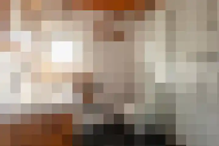 Ferdinand Bollaan 13 Baarn thumbnail 17