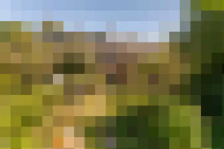 Ferdinand Bollaan 13 Baarn thumbnail 24