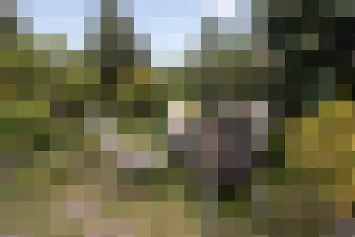 Ferdinand Bollaan 13 Baarn thumbnail 25