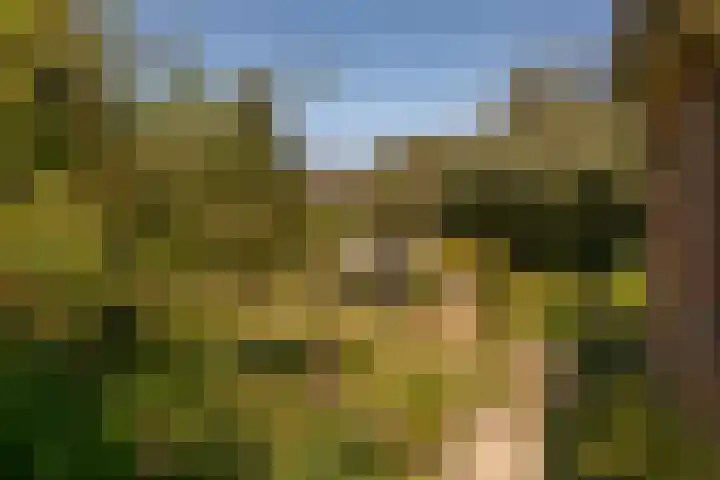 Ferdinand Bollaan 13 Baarn thumbnail 26
