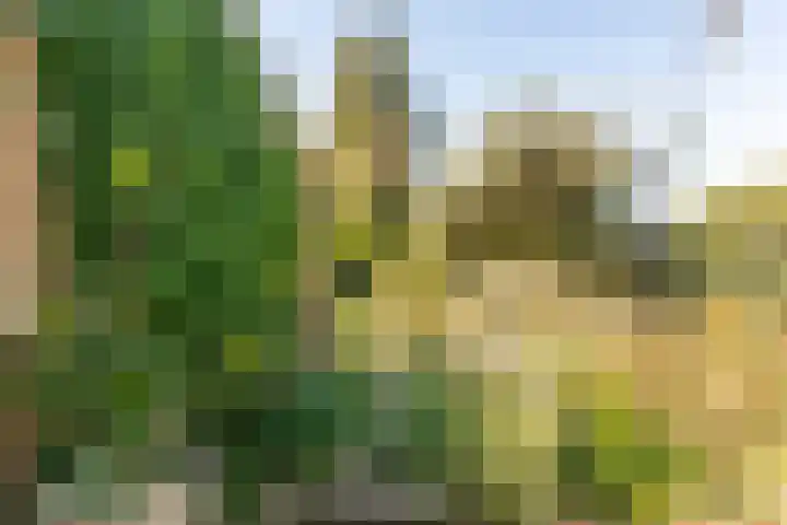 Ferdinand Bollaan 13 Baarn thumbnail 27