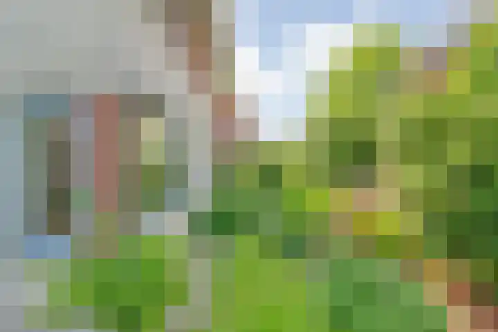 Ferdinand Bolstraat 6 Ommen thumbnail 55