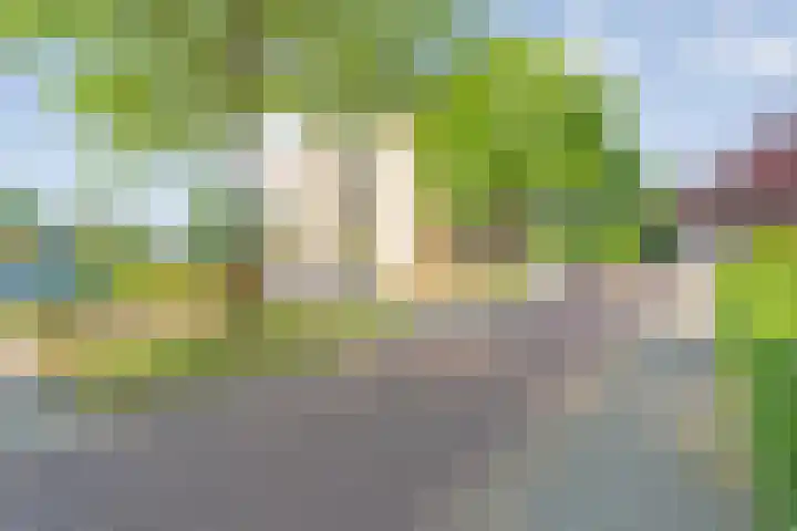 Ferdinand Bolstraat 6 Ommen thumbnail 60