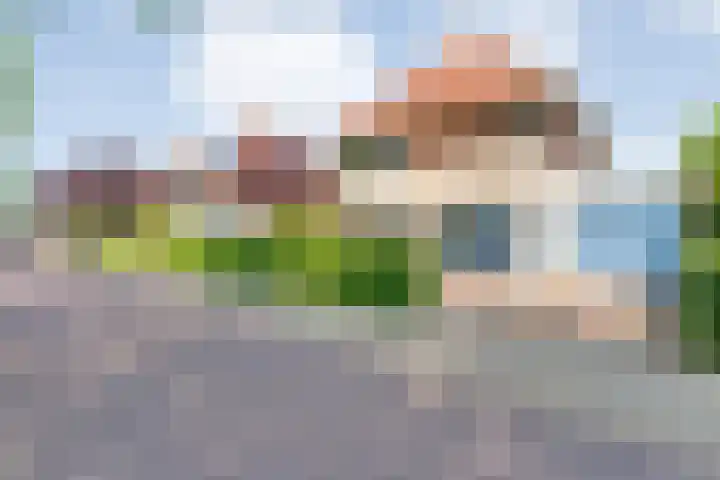 Ferdinand Bolstraat 6 Ommen thumbnail 70