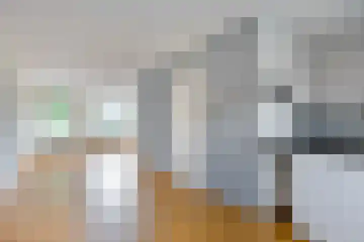 Fetsasingel 1 Dronryp thumbnail 11