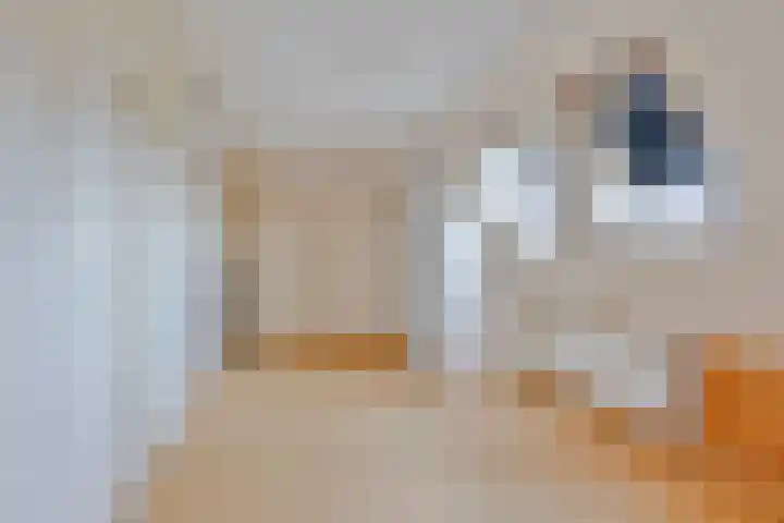 Fetsasingel 1 Dronryp thumbnail 25