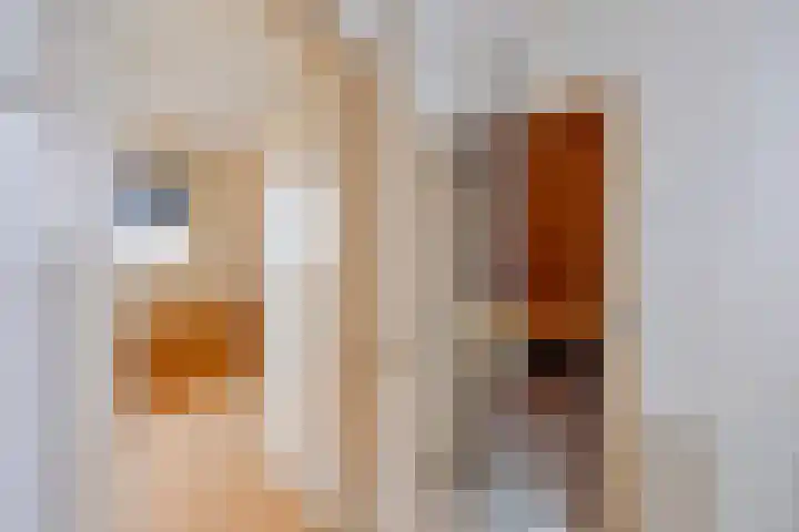 Fetsasingel 1 Dronryp thumbnail 28