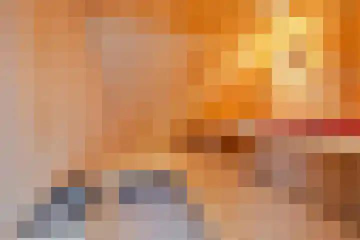 Fetsasingel 1 Dronryp thumbnail 29