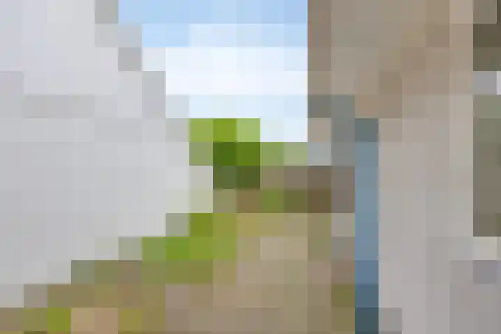 Fetsasingel 1 Dronryp thumbnail 38