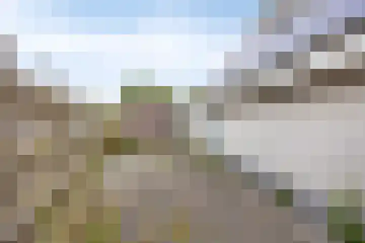 Fetsasingel 1 Dronryp thumbnail 40