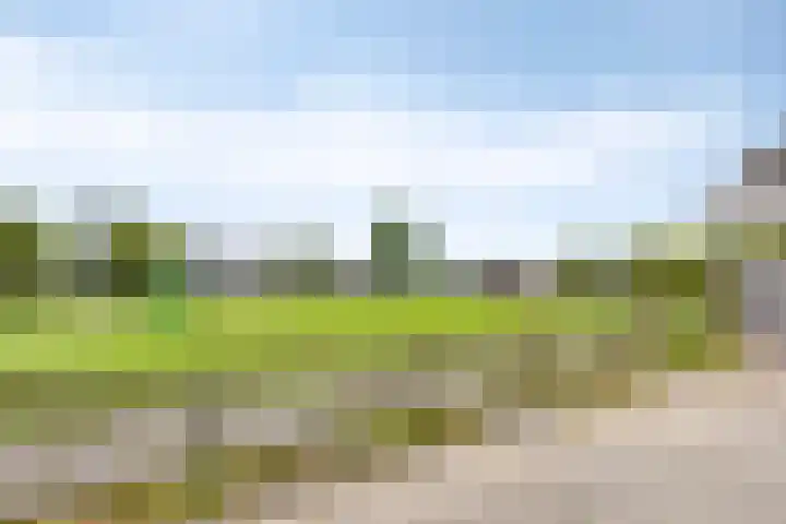 Fetsasingel 1 Dronryp thumbnail 5