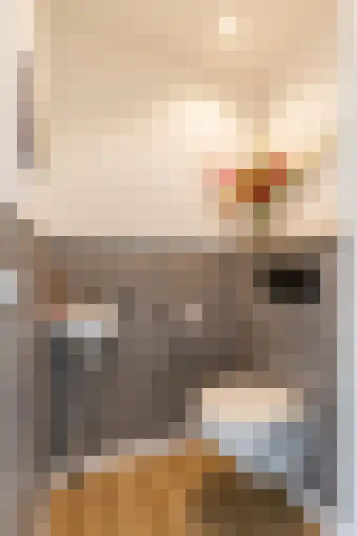 Fetsasingel 11 Dronryp thumbnail 17