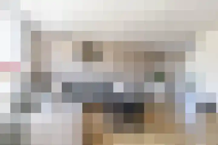 Fetsasingel 11 Dronryp thumbnail 20