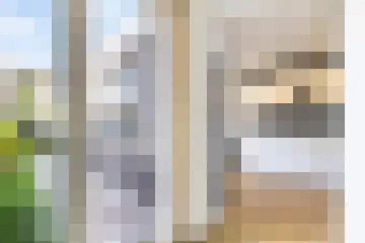 Fetsasingel 11 Dronryp thumbnail 22
