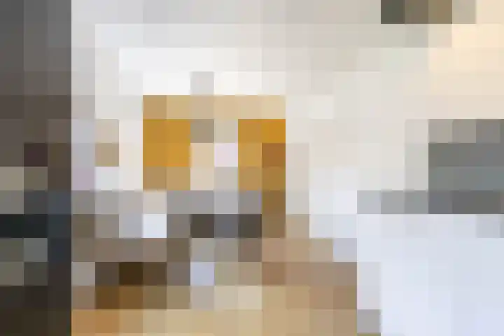 Fetsasingel 11 Dronryp thumbnail 24