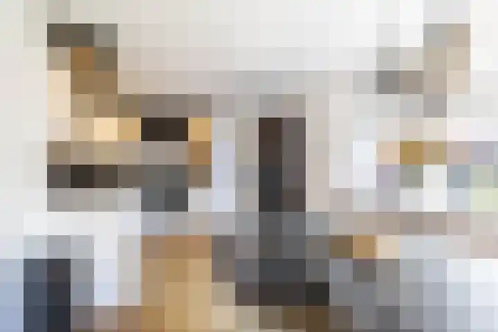 Fetsasingel 11 Dronryp thumbnail 26