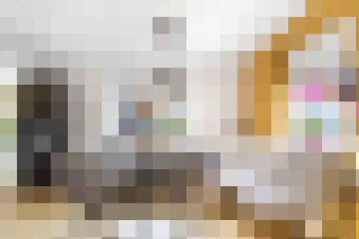 Fetsasingel 11 Dronryp thumbnail 28