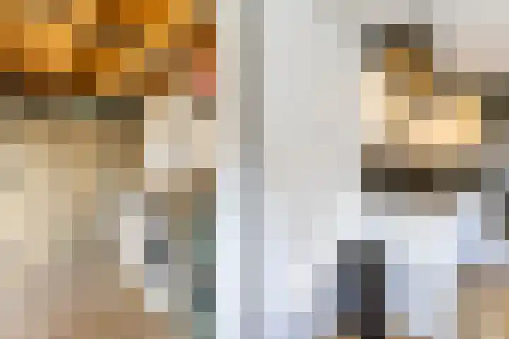 Fetsasingel 11 Dronryp thumbnail 29