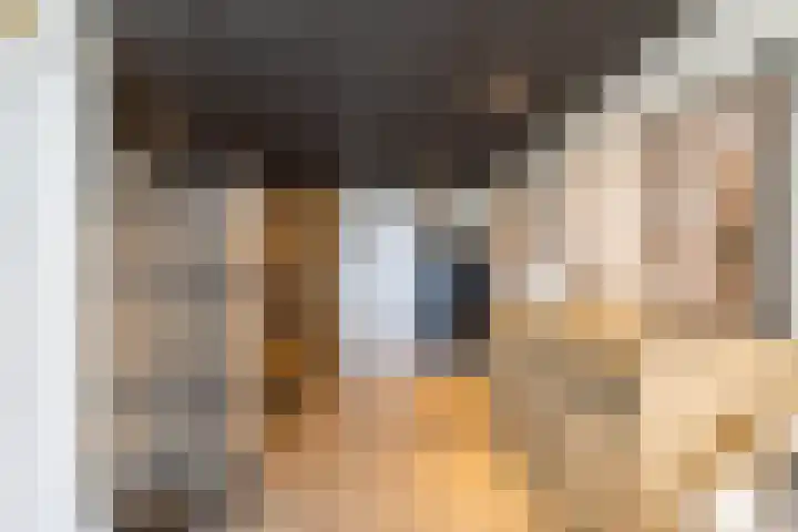 Fetsasingel 11 Dronryp thumbnail 35