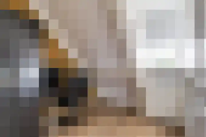 Fetsasingel 11 Dronryp thumbnail 38