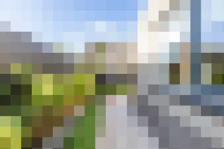 Fetsasingel 11 Dronryp thumbnail 61