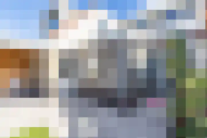 Fetsasingel 11 Dronryp thumbnail 69