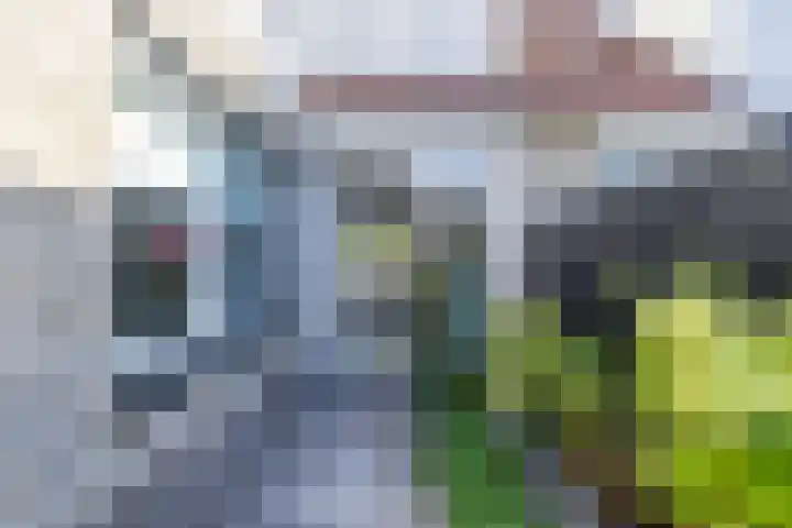 Fetsasingel 11 Dronryp thumbnail 70