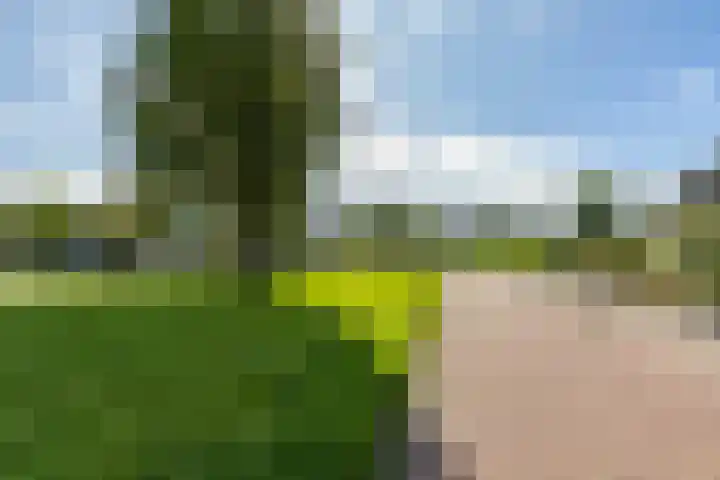 Fetsasingel 11 Dronryp thumbnail 72
