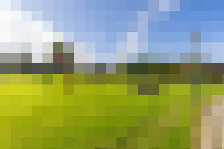 Fetsasingel 11 Dronryp thumbnail 73