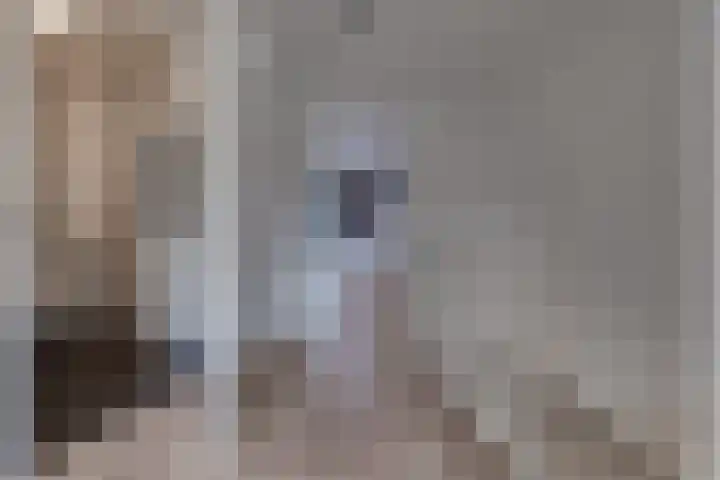 Fibula 21 Borger thumbnail 11