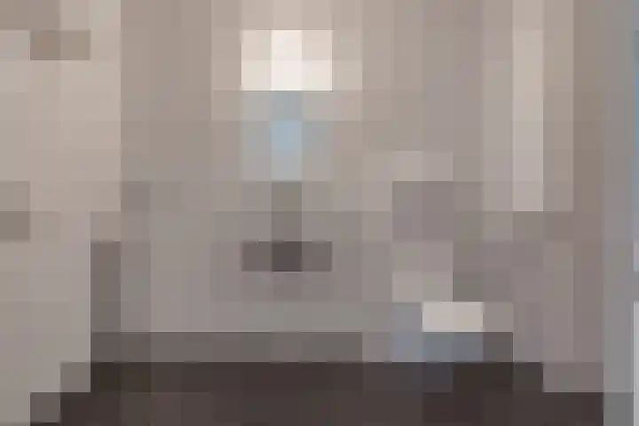 Fibula 21 Borger thumbnail 12