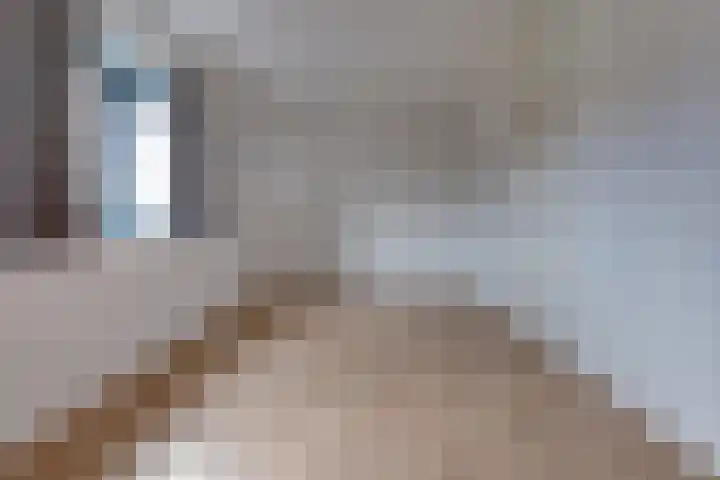 Fibula 21 Borger thumbnail 14
