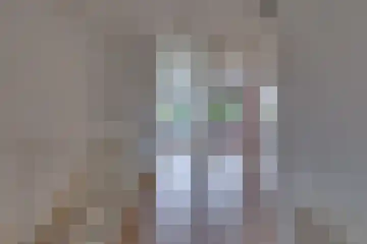 Fibula 21 Borger thumbnail 15