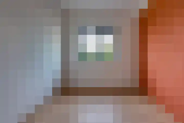 Fibula 21 Borger thumbnail 18