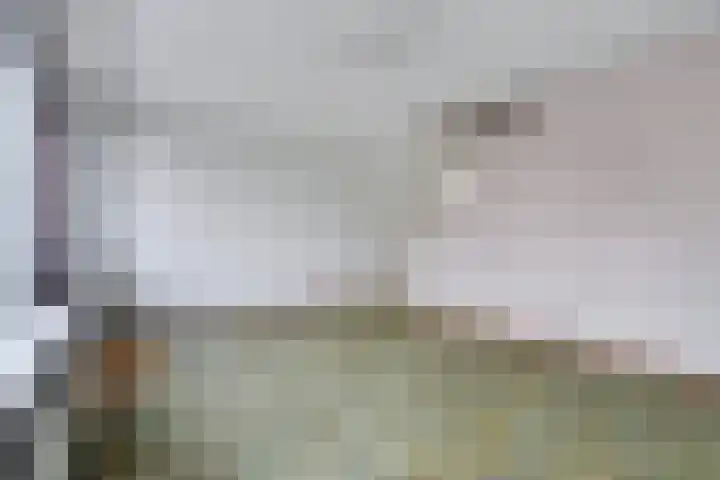 Fibula 21 Borger thumbnail 20