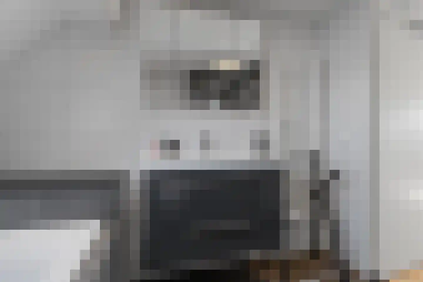 Fibula 21 Borger thumbnail 21