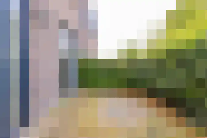 Fibula 21 Borger thumbnail 21