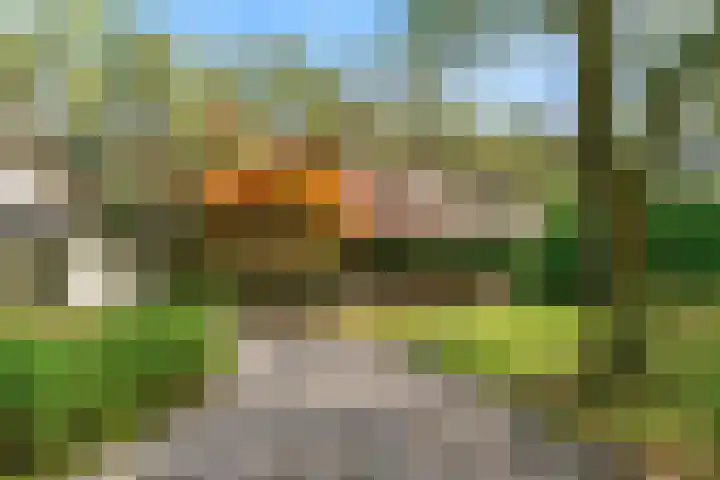 Fibula 21 Borger thumbnail 22