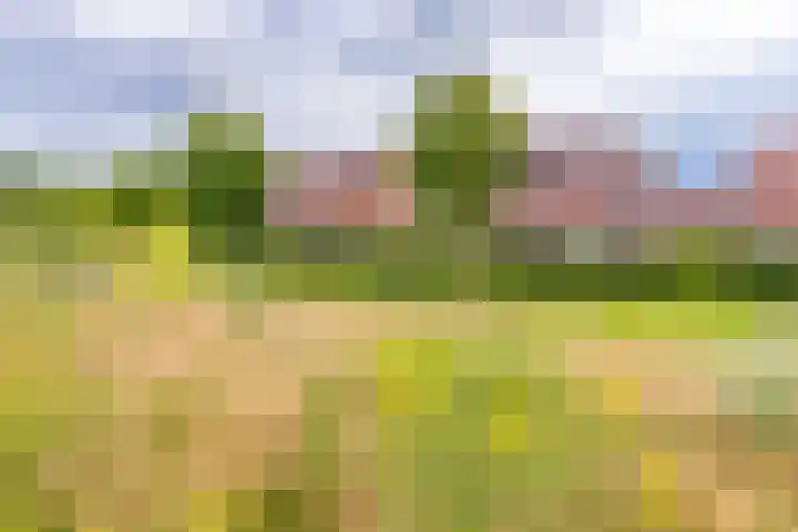 Fibula 21 Borger thumbnail 22
