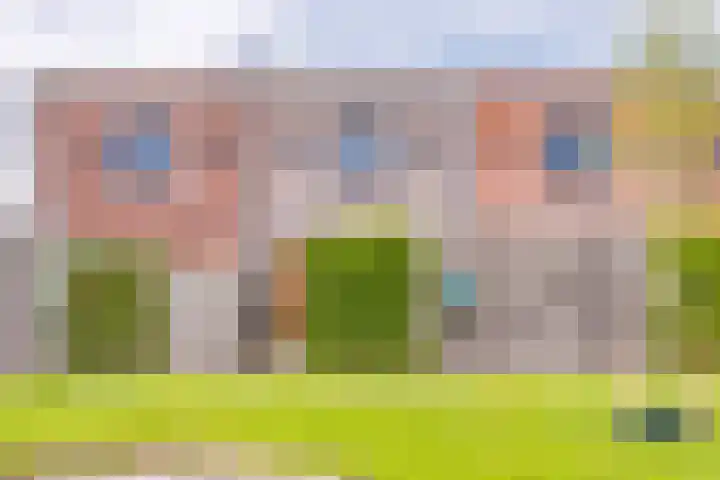 Fibula 21 Borger thumbnail 24