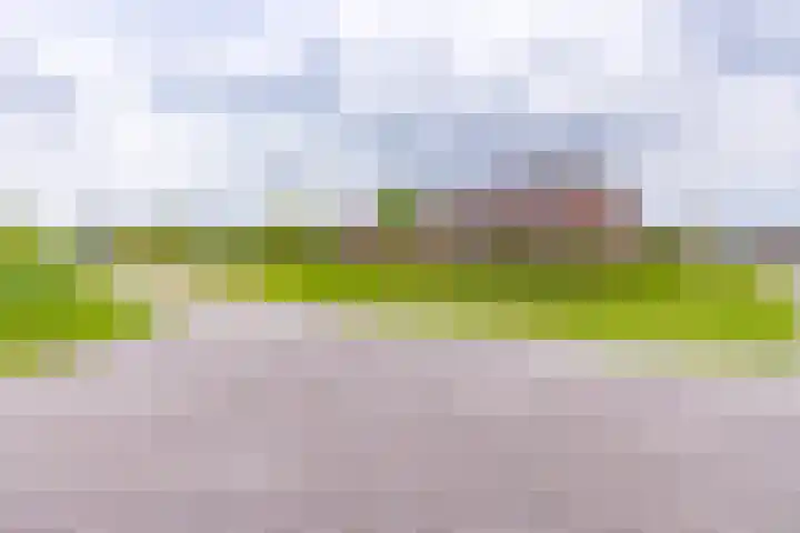 Fibula 21 Borger thumbnail 25