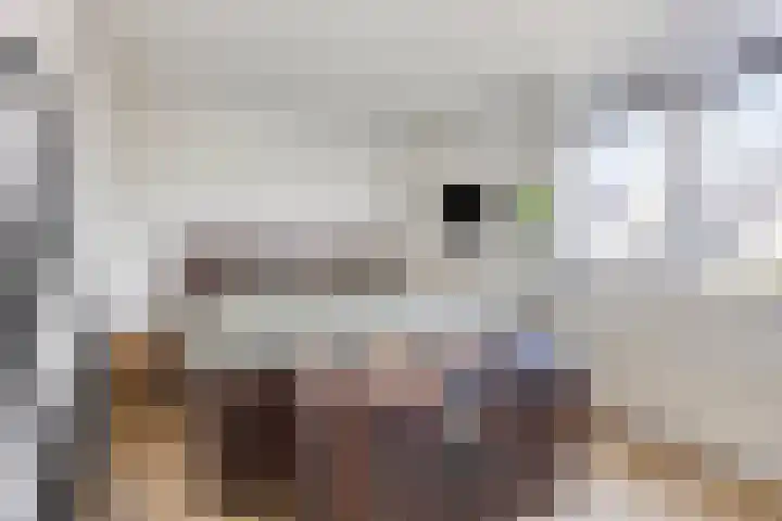 Fibula 21 Borger thumbnail 27