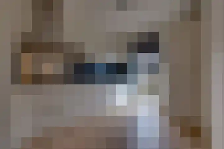 Fibula 21 Borger foto 3