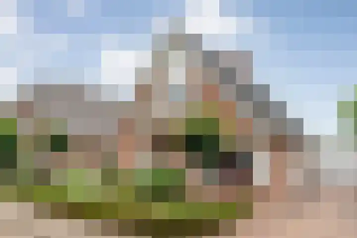 Fibula 21 Borger thumbnail 5