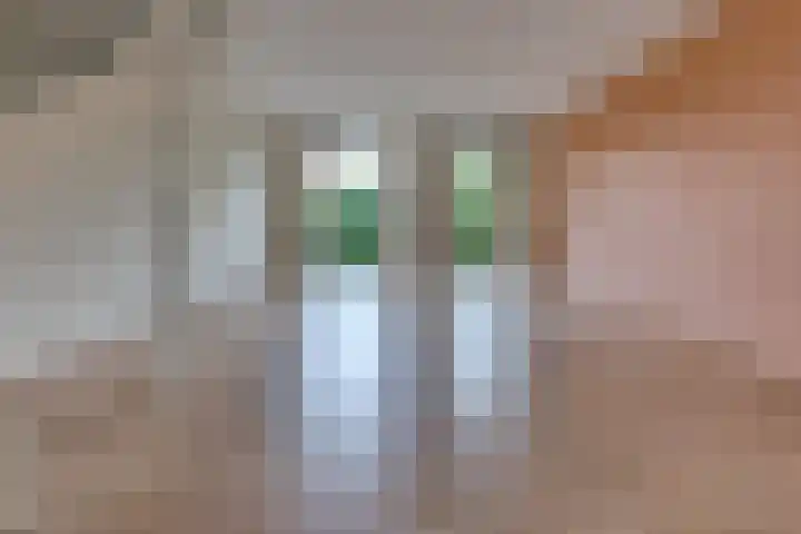 Fibula 21 Borger thumbnail 5