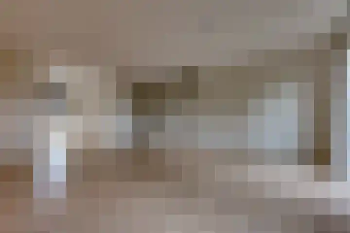 Fibula 21 Borger thumbnail 7