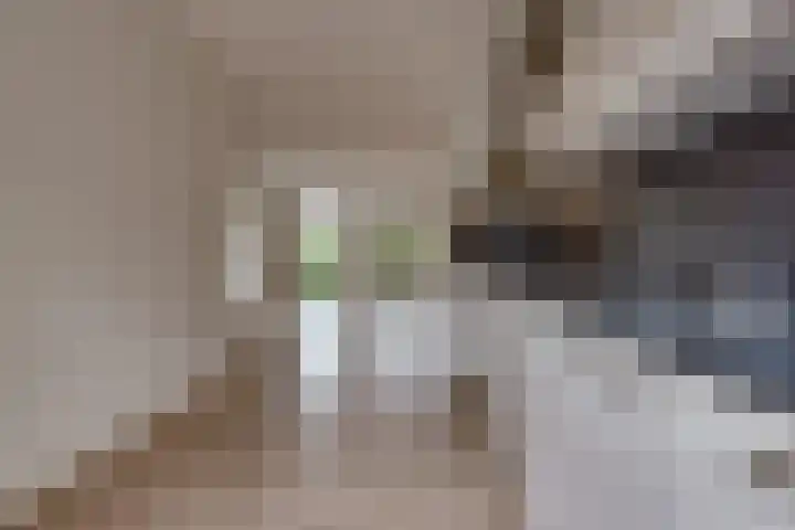 Fibula 21 Borger thumbnail 8