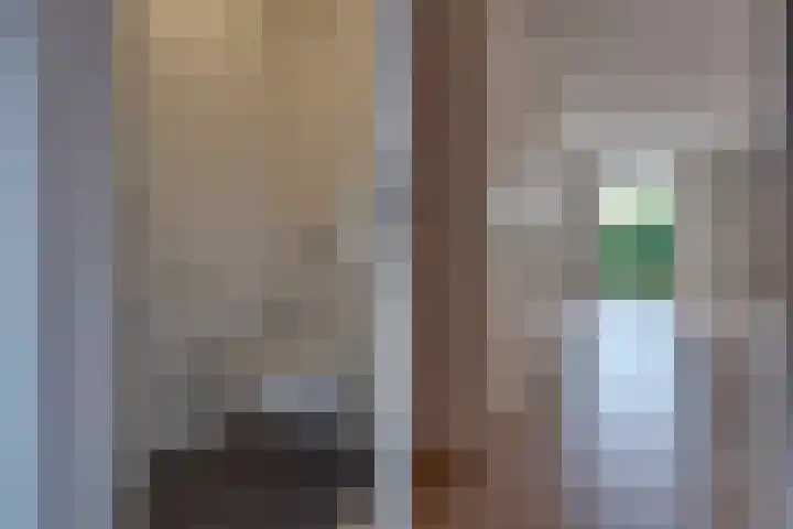 Fibula 21 Borger thumbnail 9