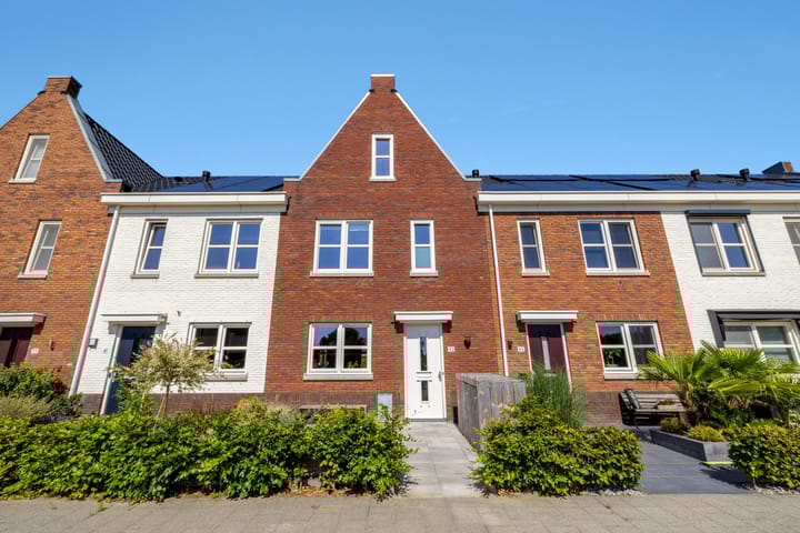 Fibula 43 in Zuidland foto