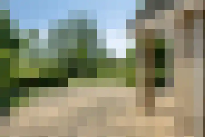 Fidelio 33 Kampen thumbnail 13